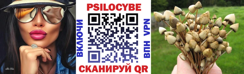 Псилоцибиновые грибы Psilocybe  Петрозаводск 
