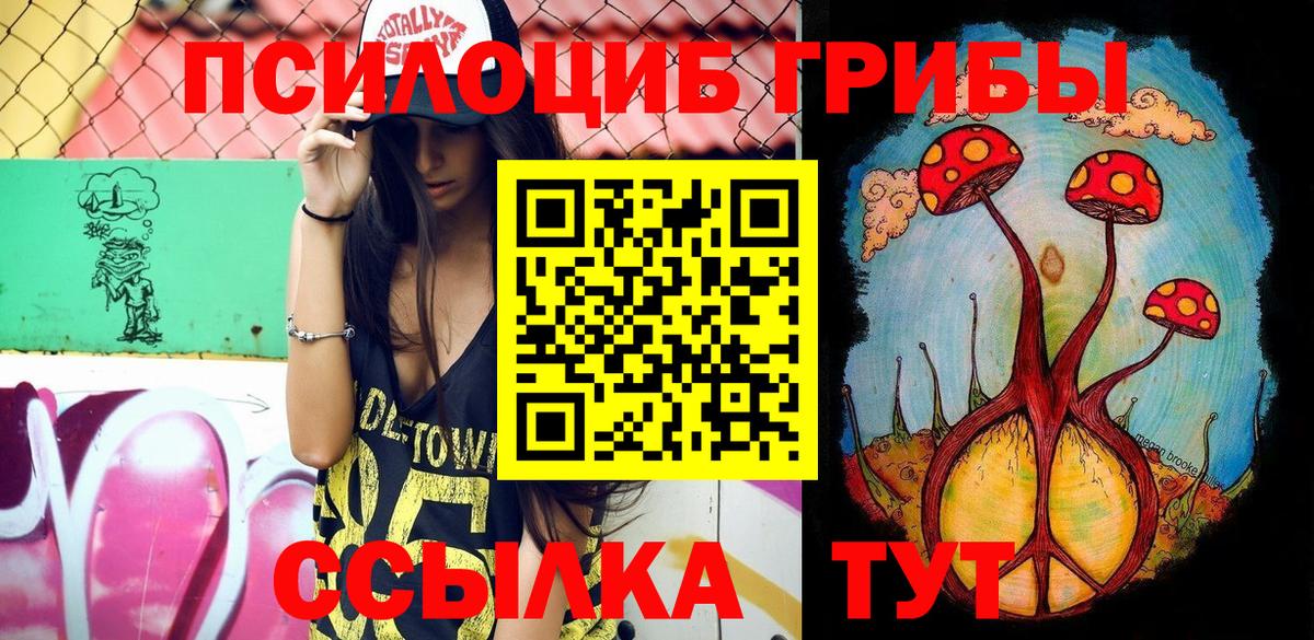 Псилоцибиновые грибы Psilocybine cubensis Петрозаводск