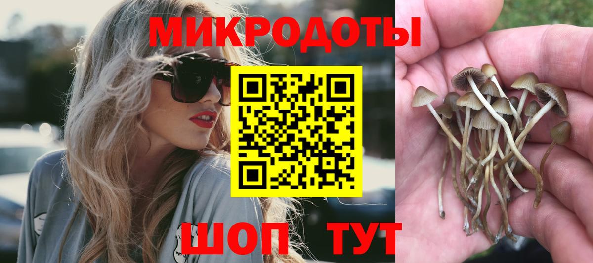 Петрозаводск  Псилоцибиновые грибы GOLDEN TEACHER  Псилоцибиновые грибы прущие грибы  Вход с VPN 